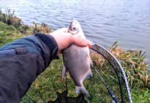 Chytání na feeder: na čem opravdu záleží a na čem zas tak moc ne cejn na method feeder