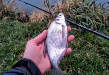 Video: Zimní lov cejnů na method feeder zimní lov cejnů na method feeder