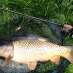 Recenze: Drennan Acolyte PLUS 11ft Drennan Acolyte Plus 11 ft