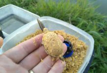 Method feederové školy Method feeder krmítko