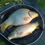Taktika lovu na method feeder