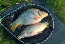 Taktika lovu na method feeder