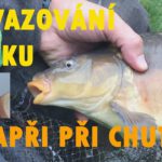 Navazování háčků do forpasovníků (1.díl ze seriálu Můj feeder) Navazování háčků do forpasovníků