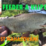 Klipování při feederovém chytání (7.díl ze seriálu Můj feeder) Klipování při feederovém chytání (7.díl ze seriálu Můj feeder)