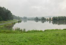 Rybářský řád – vše co potřebujete vědět 2025 Rybářský řád